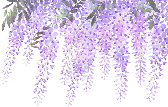 IMG_4871.png